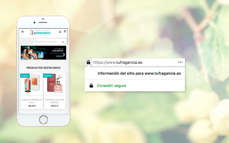 Diseño y Certificado SSL