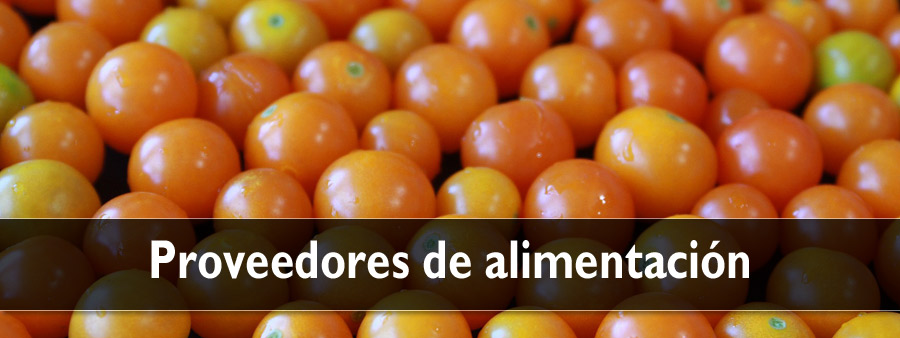 Proveedores de alimentación