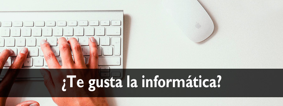 Proveedores de informática