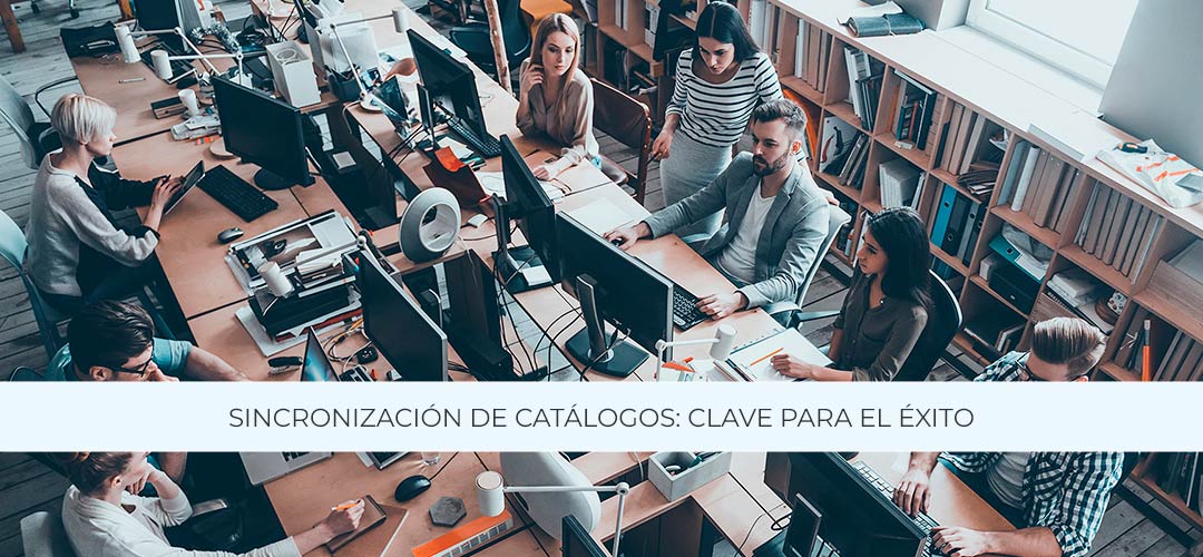 Sincronización de catálogos dropshipping