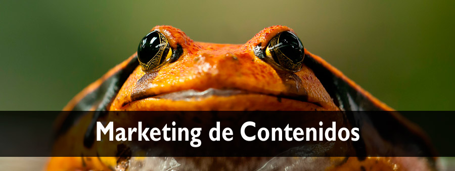 Marketing de Contenidos