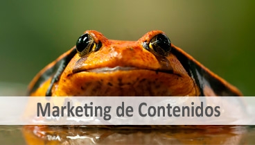 ¿Usas el marketing de contenidos?