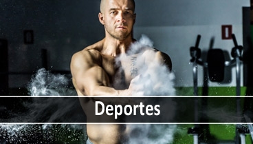 Proveedores para tienda de deportes