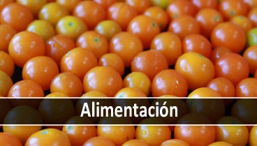 Proveedores de alimentación