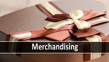 Last Level: Dropshipping de Merchandising