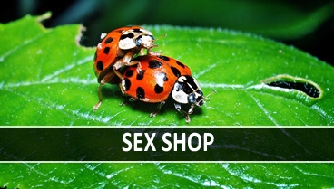 SexShop con productos sin stock