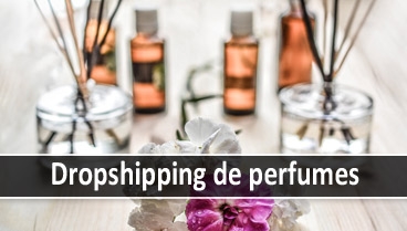 Ejemplo de tiendas hechas con dropshipping de perfumes
