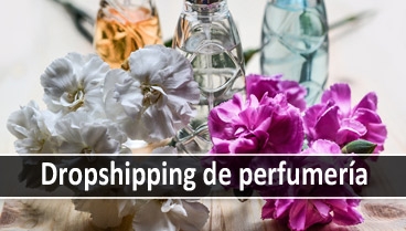 Presupuesto para dropshipping de perfumería