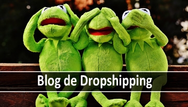 Blog de Dropshipping