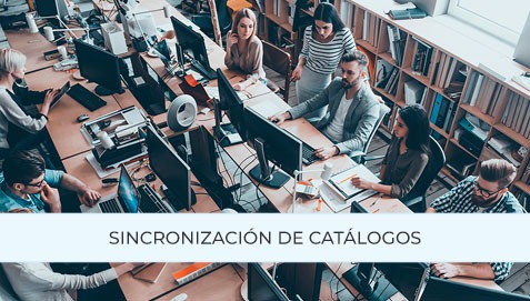 Sincronización de catálogos: clave para el éxito en dropshipping